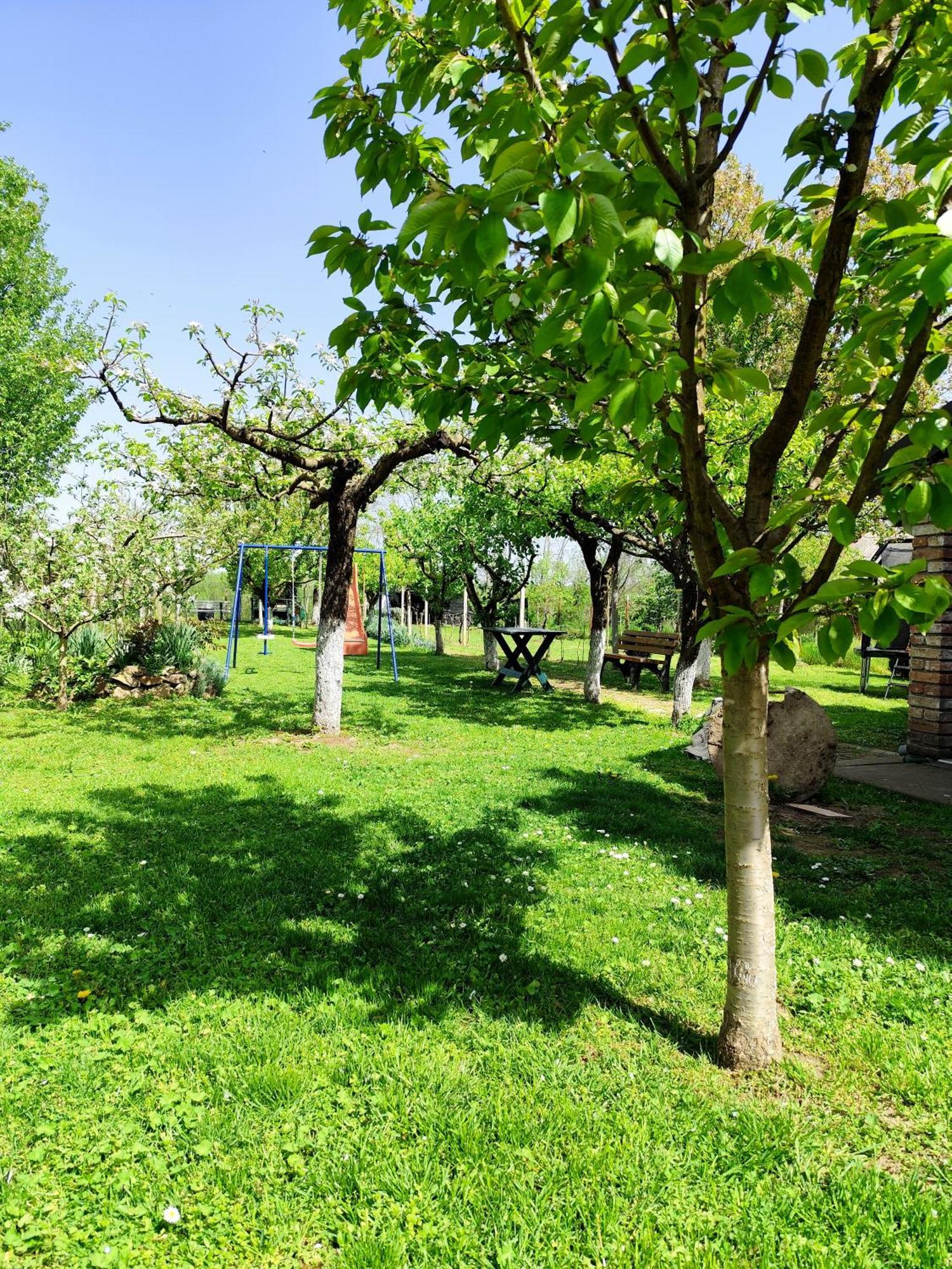 Kuca Za Odmor Mirni Kutak Vukovar Esterno foto