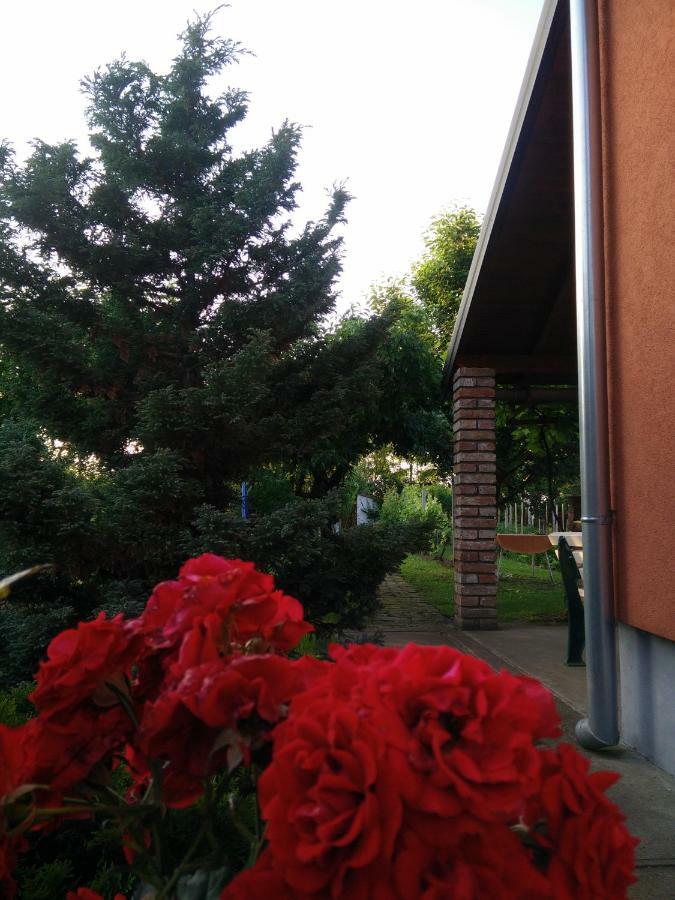 Kuca Za Odmor Mirni Kutak Vukovar Esterno foto