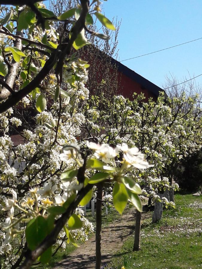 Kuca Za Odmor Mirni Kutak Vukovar Esterno foto